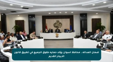 ضمان العدالة.. محافظ أسوان يؤكد حماية حقوق الجميع في تطبيق قانون الإيجار القديم